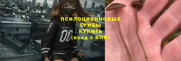 соль курить ск Няндома