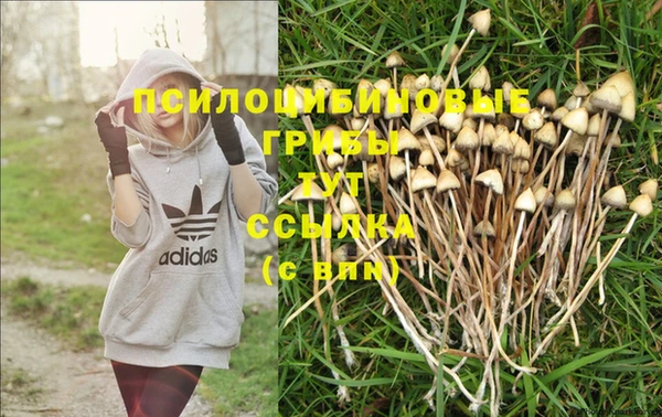 мет Нягань
