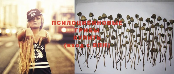 мет Нягань